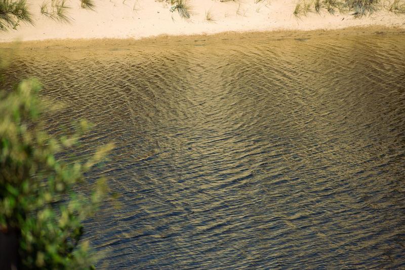 0 Bedroom Property for Sale in Moquini Western Cape